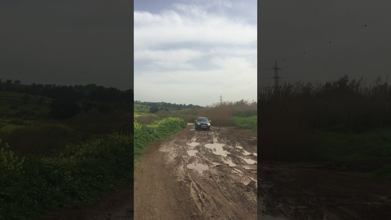 Toyota  RAV4 2008 off road