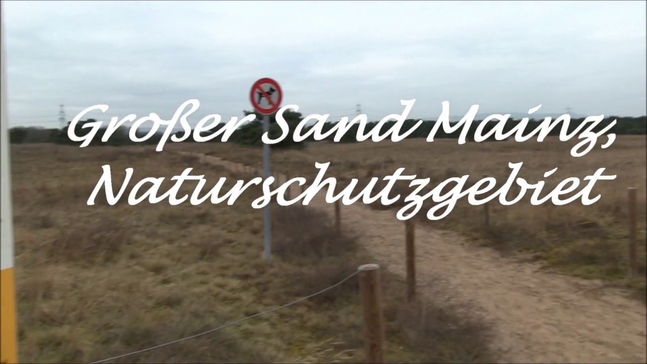 Großer Sand Mainz Teil 1