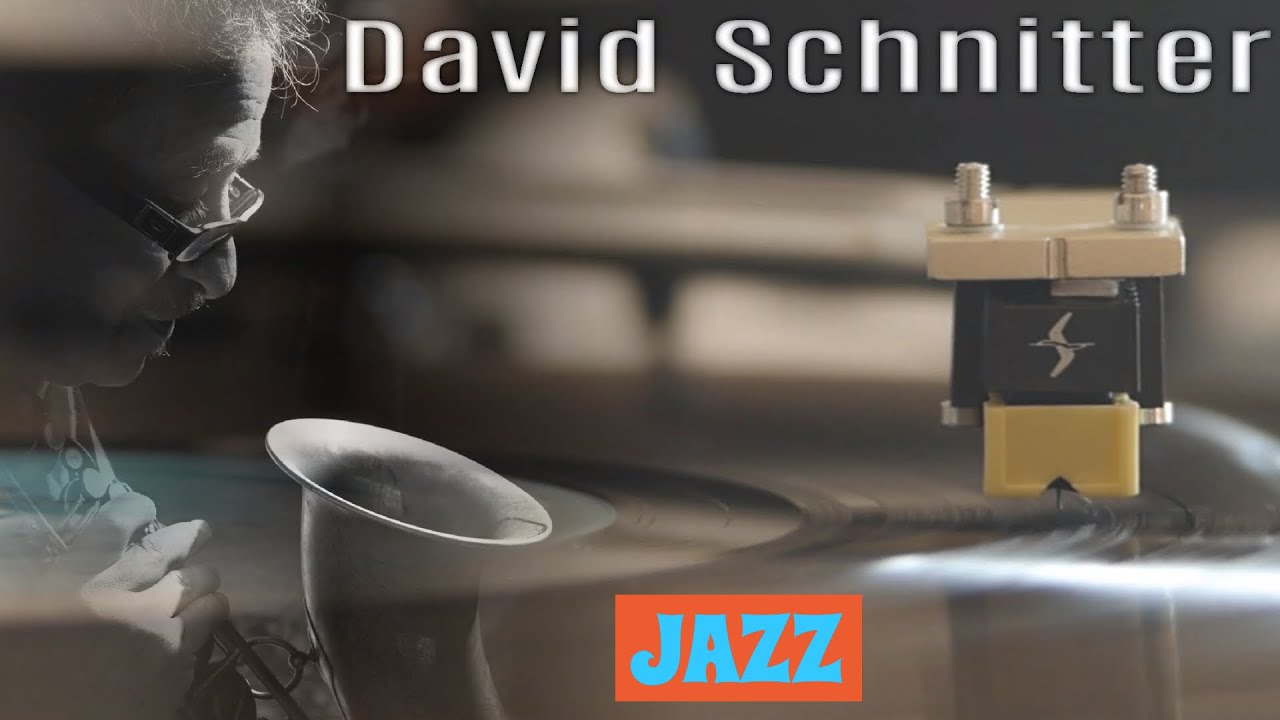 David Schnitter ✧ Fat Face Fenner's Saloon ✧ Vinyl 💿