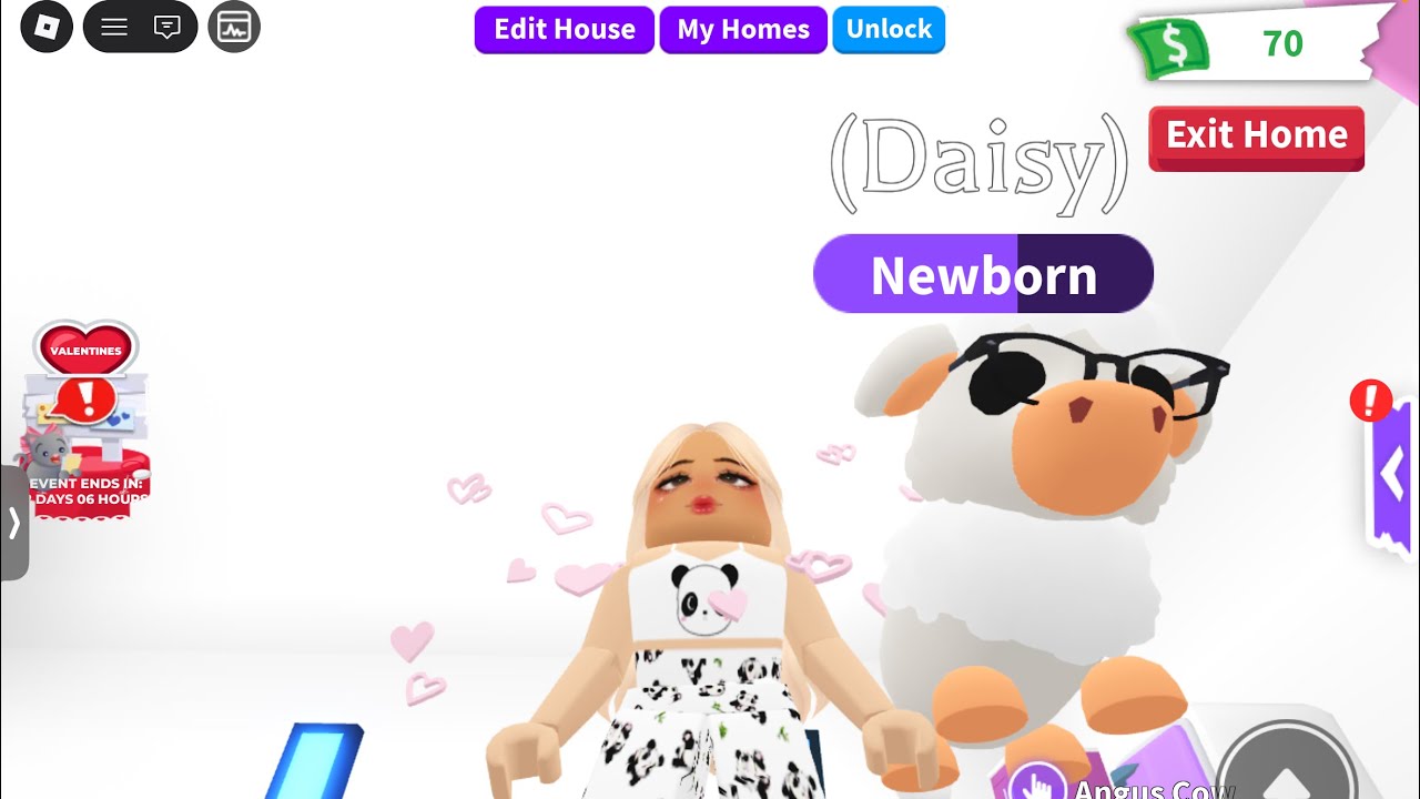My pets birthday on adopted me