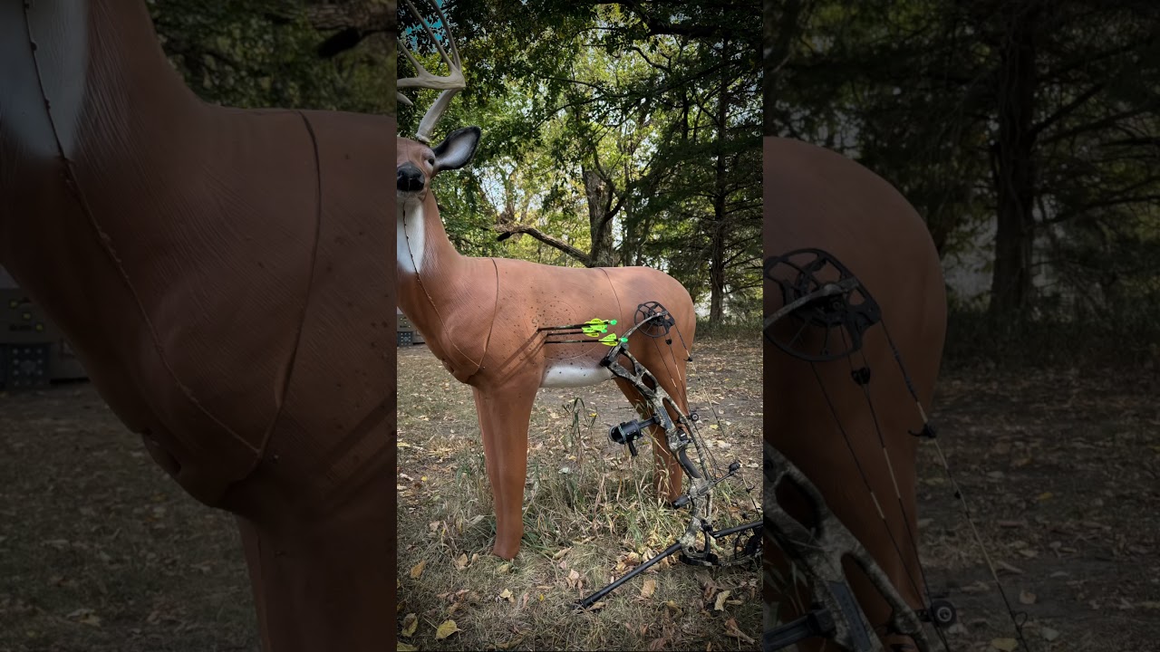 NOW RELEASED 2025 HOYT CARBON RX9!!! #ytshorts #hoyt #rx9 #carbonbow #hoytbows #yt #shorts