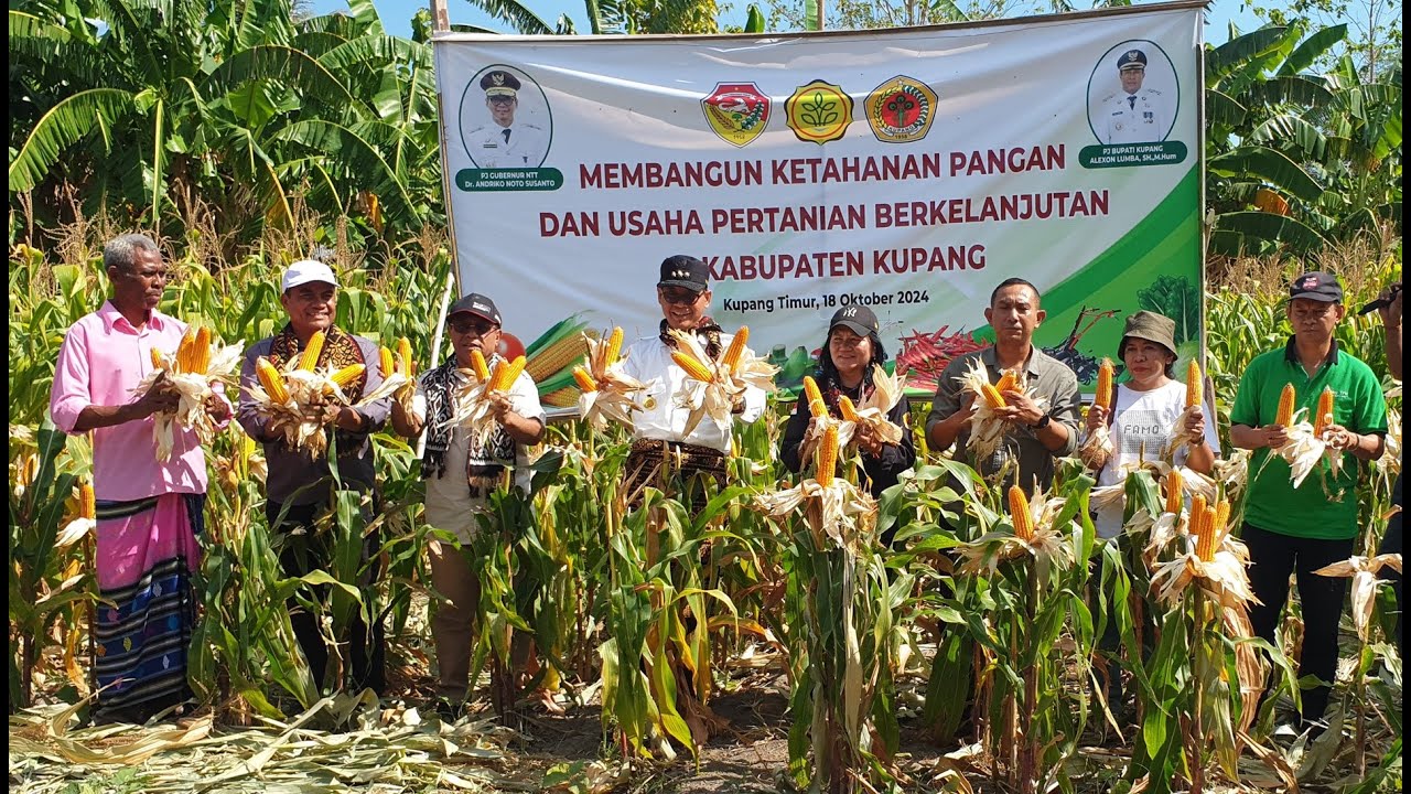 Membangun Ketahanan Pangan & Pertanian Berkelanjutan: Kunjungan Kerja Pj Gubernur NTT