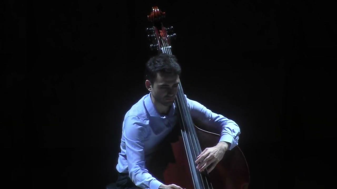 Rebecca Saunders, Fury for double bass solo