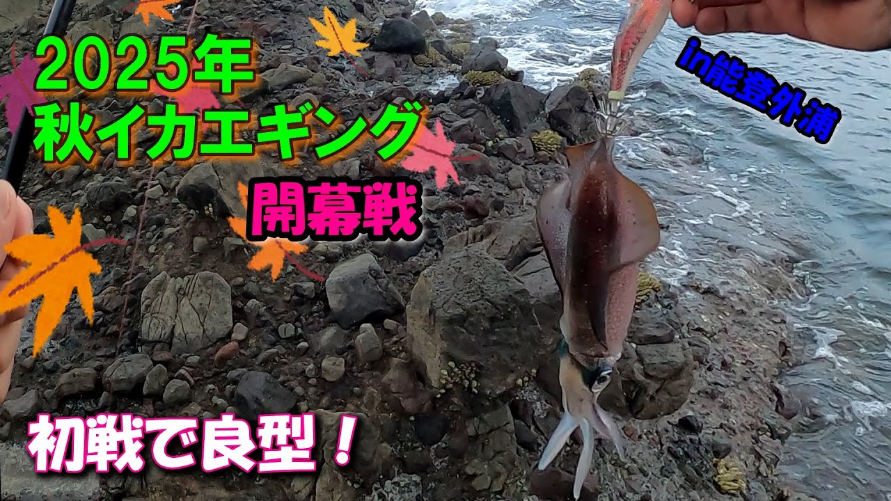 【2025年秋イカエギング開幕戦】変な釣れ方でいきなり良型！石川県でエギング釣行！アオリイカ、アオリ、新子、能登、富山、釣り