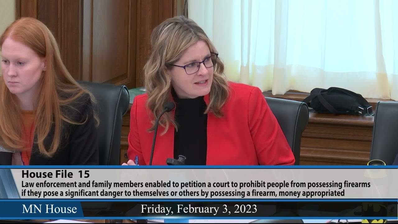 Public safety committee hears 'extreme risk protection order' firearms bill 2/3/23