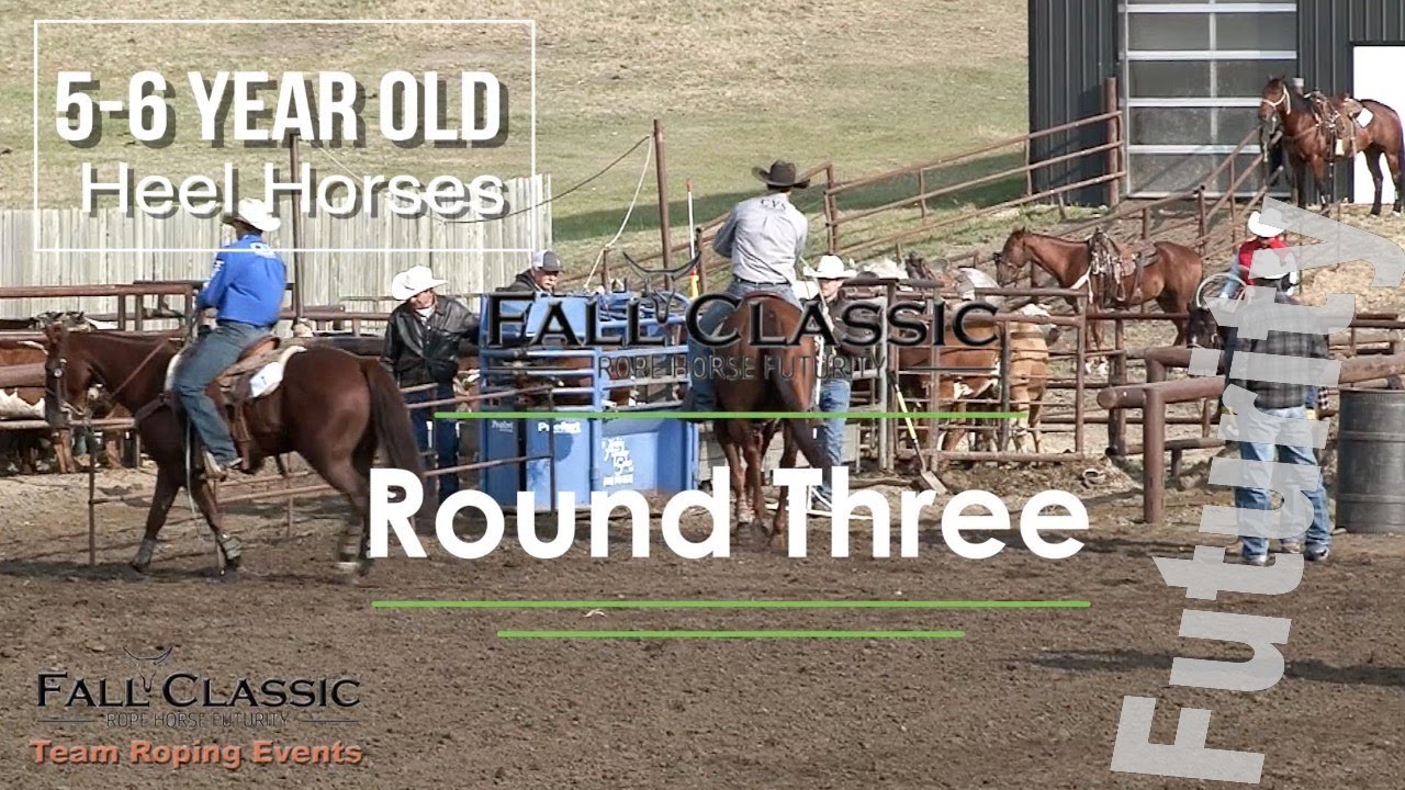 Heel Horses Round 3- Fall Classic Rope Horse Futurity 2022