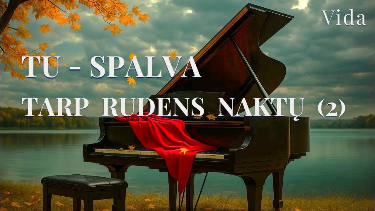 Tu – spalva tarp rudens naktų (2) | Soft rock interpretacija apie amžiną meilę #lietuviškamuzika