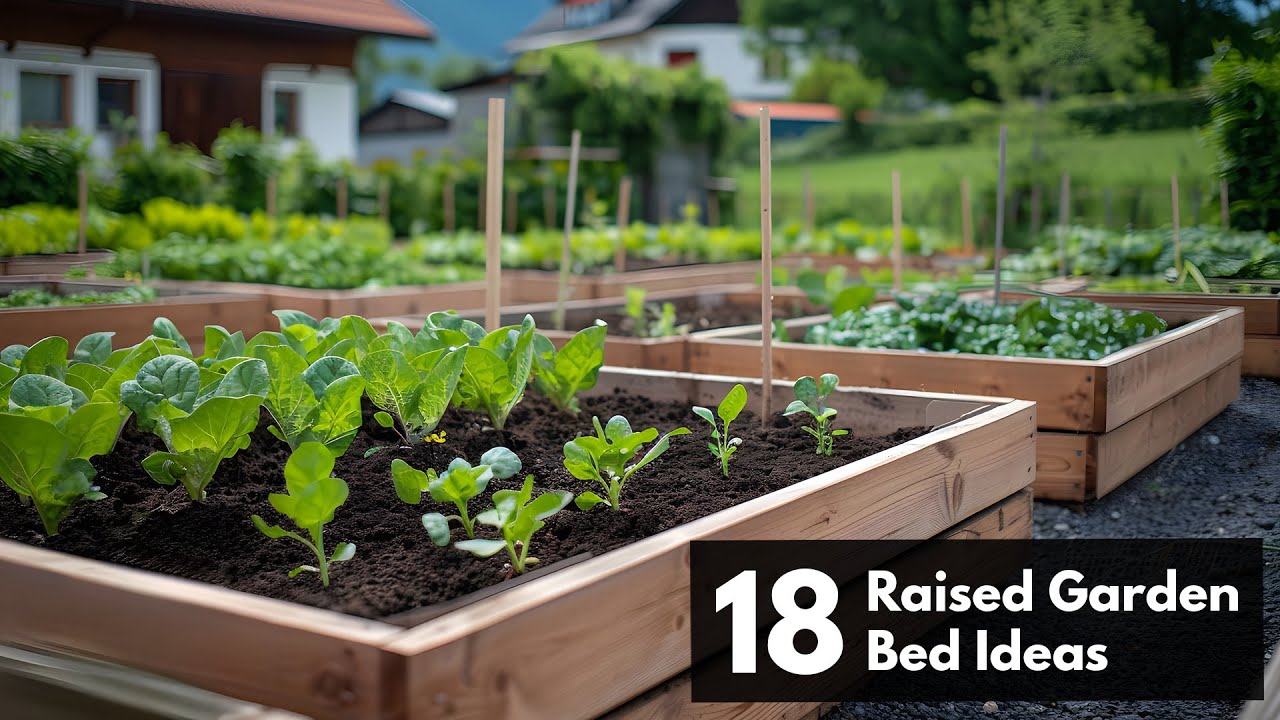 18 Raised Garden Bed Ideas for Your Backyard