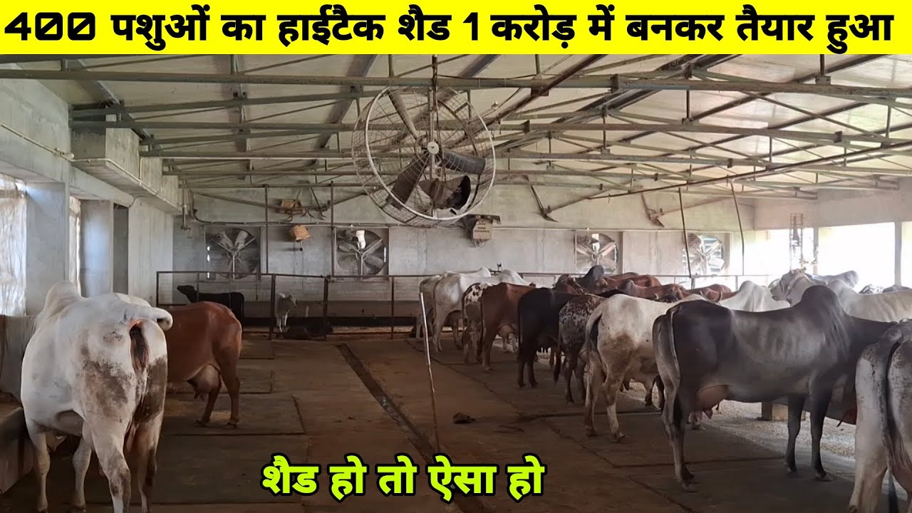 400 पशुओं का हाईटेक शैड 🏡 सभी सुविधाओं से भरा हुआ👌 How to make a dairy shed design