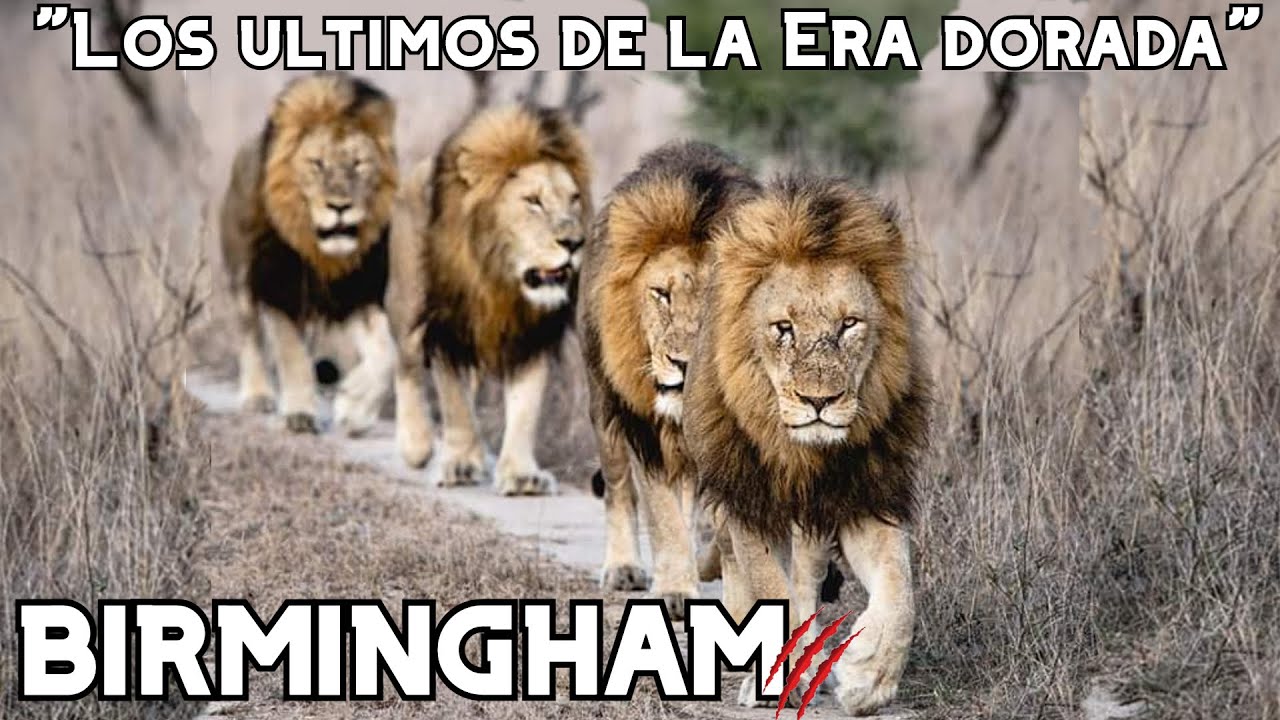 BIRMINGHAM | La ÚLTIMA gran COALICIÓN de SABI SAND