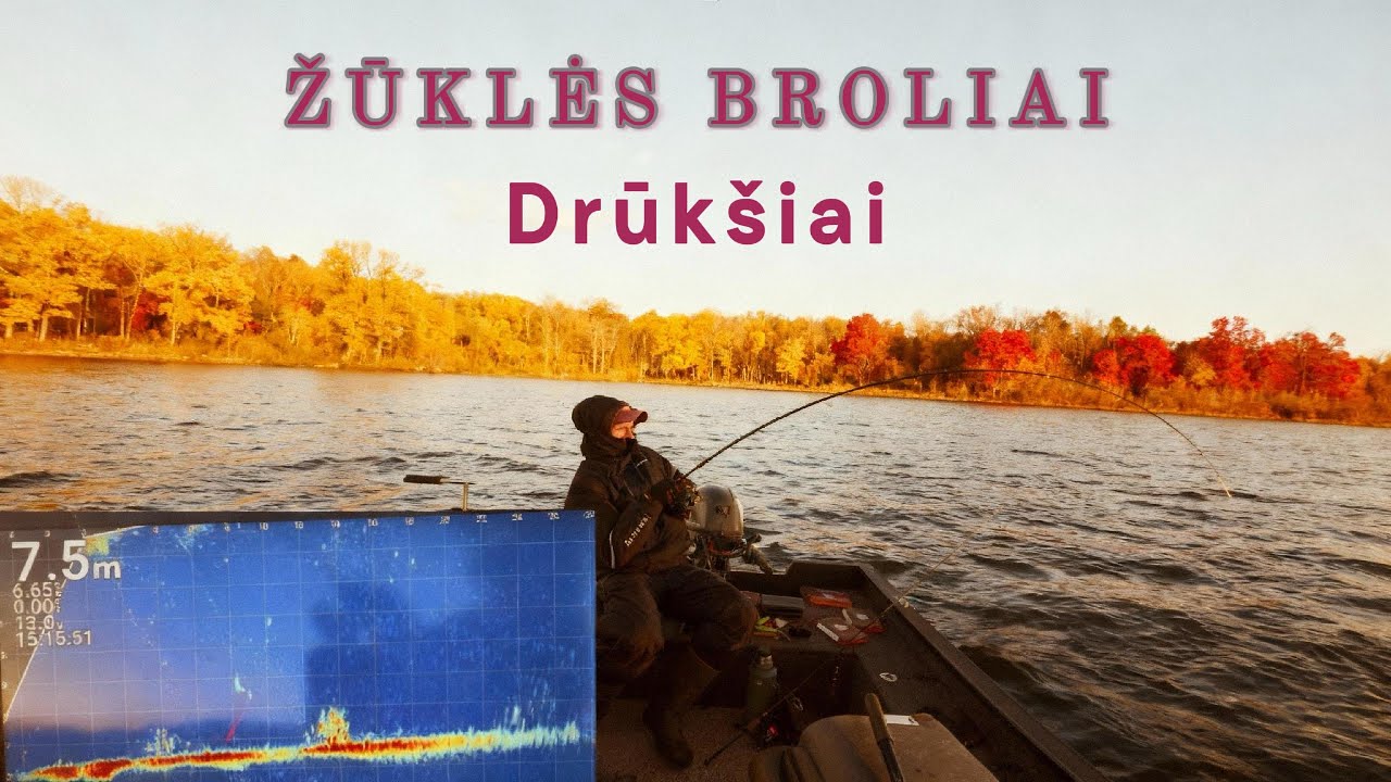 Rudeninė Žvejyba Drūk&scaron;ių ežere 2025-11-15, Garmin Panoptix LiveScope