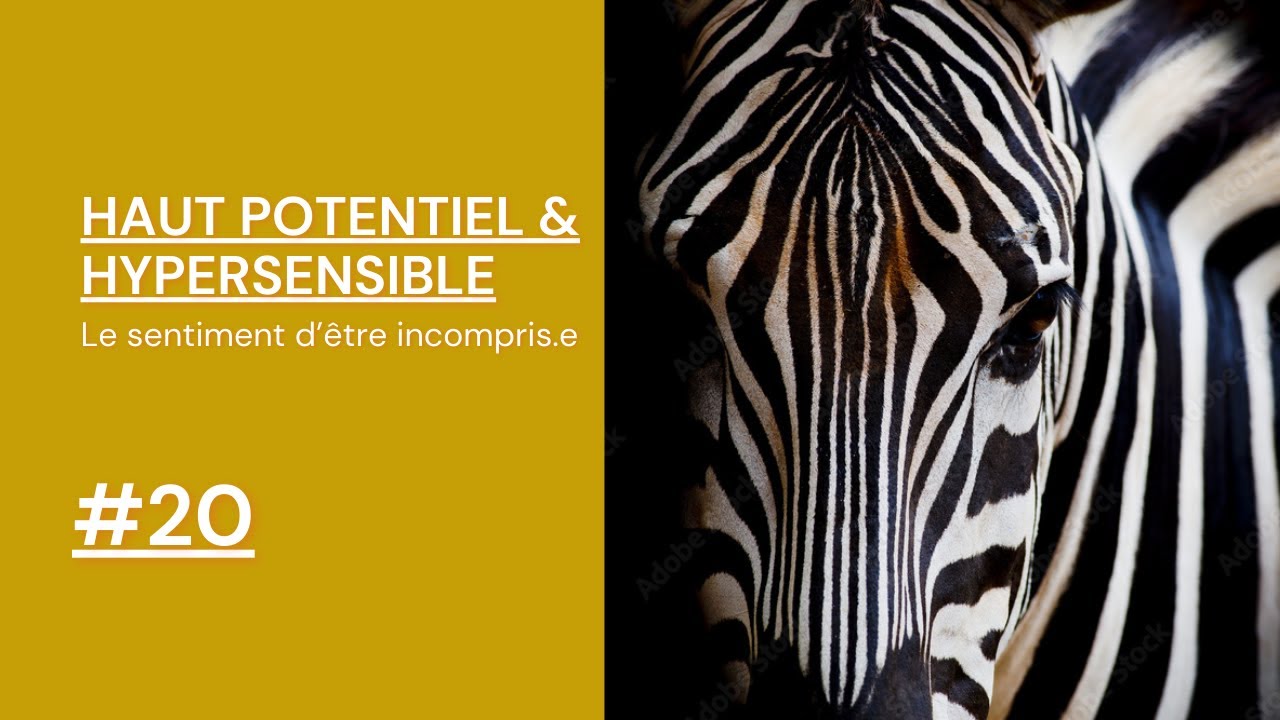 HAUT POTENTIEL & HYPERSENSIBLE #20 : Le sentiment d'être incompris.e