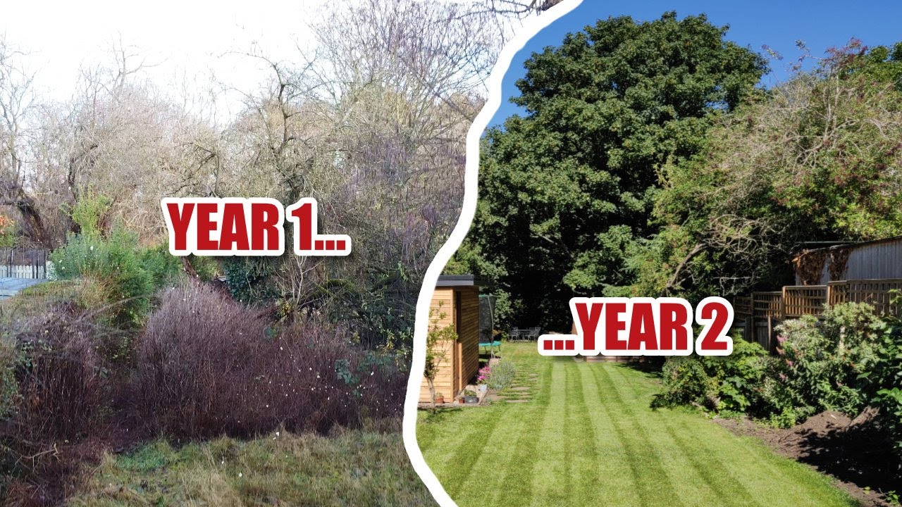 Complete garden makeover... so far! (month 19)