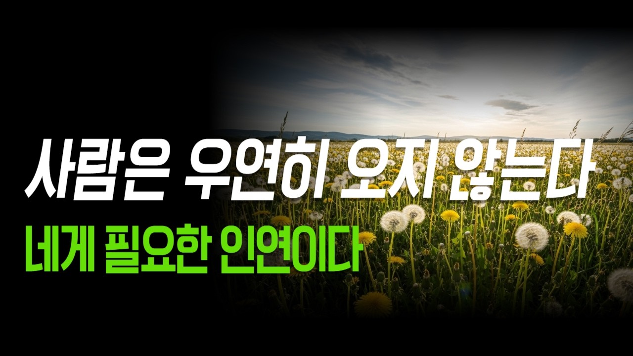 사람은 우연히 오지 않습니다 - 내 인생에 스쳐간 모든 인연에는 이유가 있었습니다