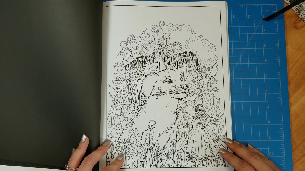 Alice's Adventures in Wonderland Coloring Book | Flip-Through