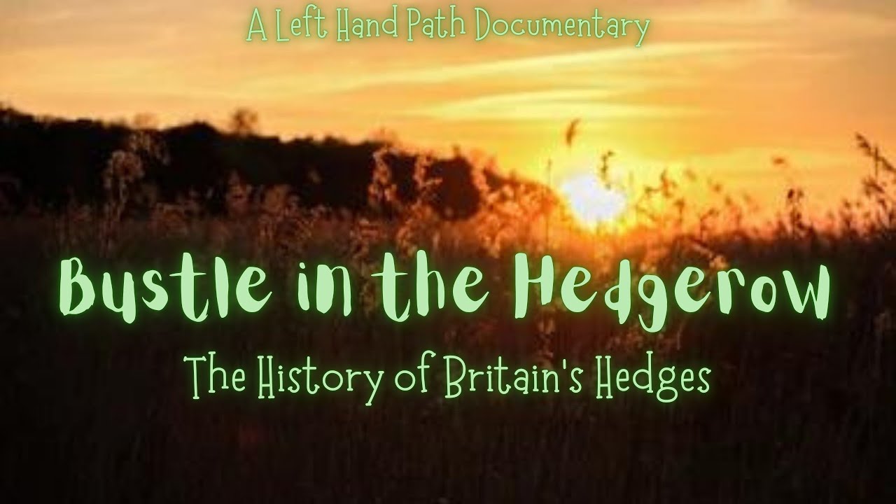 Bustle in the Hedgerow | The History of Britain's Hedges  | Documentary  | Folklore and Myth