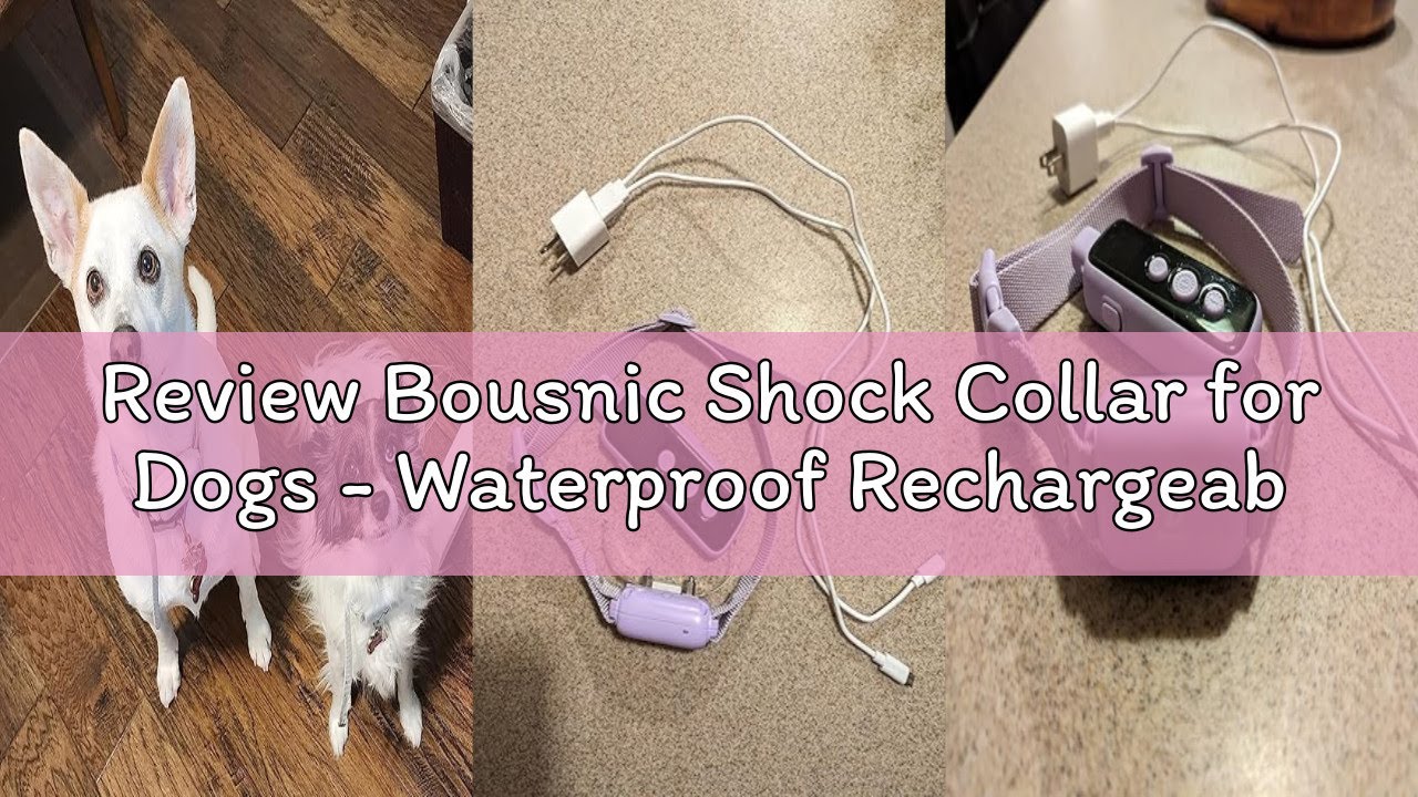 Review Bousnic Shock Collar for Dogs - Waterproof Rechargeable Dog Electric Training Collar with Rem