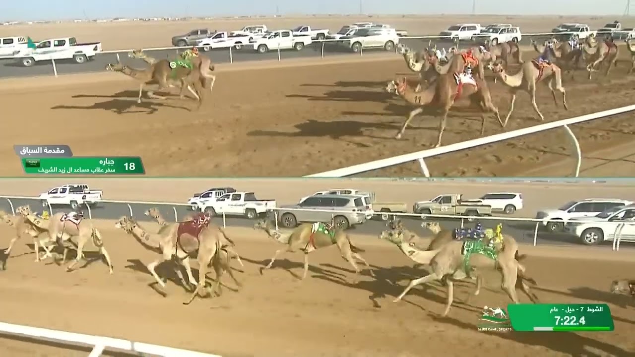 الشوط 7 حيل عام صباح يوم السبت 5-10-2024 من #كأس_الاتحاد_السعودي_للهجن