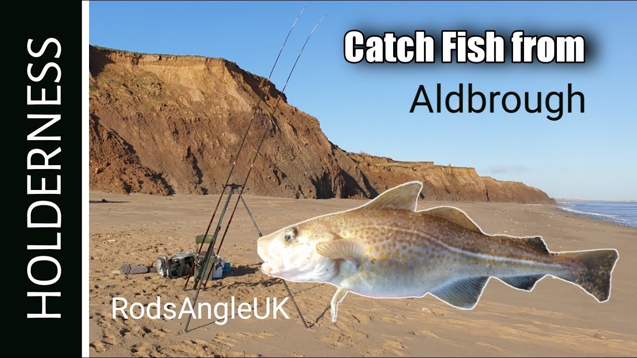 Catch Fish from Holderness: ALDBROUGH