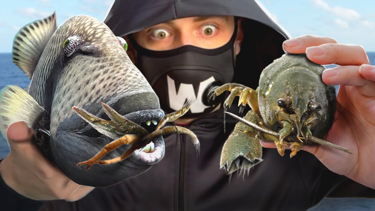 Voici Pourquoi les Homards Détestent les Balistes