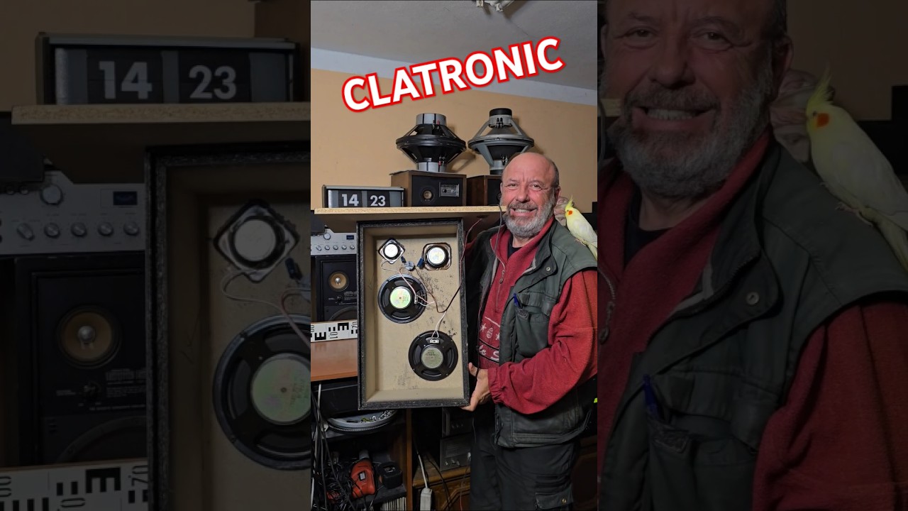 BUDGET CHEAP BOOKSHELF SPEAKERS CLATRONIC - What's Inside? - 8 & 4 Ohm Speaker