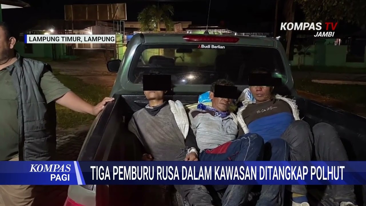 Tiga Pemburu Rusa Dalam Kawasan Ditangkap Polhut
