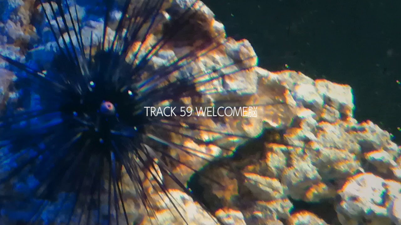 TRACK 59 - フリートラック ラップ ビート 提供 | Hip Hop Instrumental