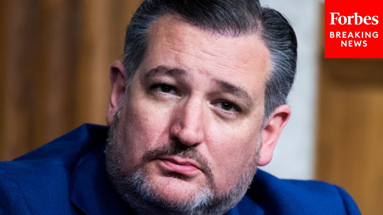 Ted Cruz Slams 