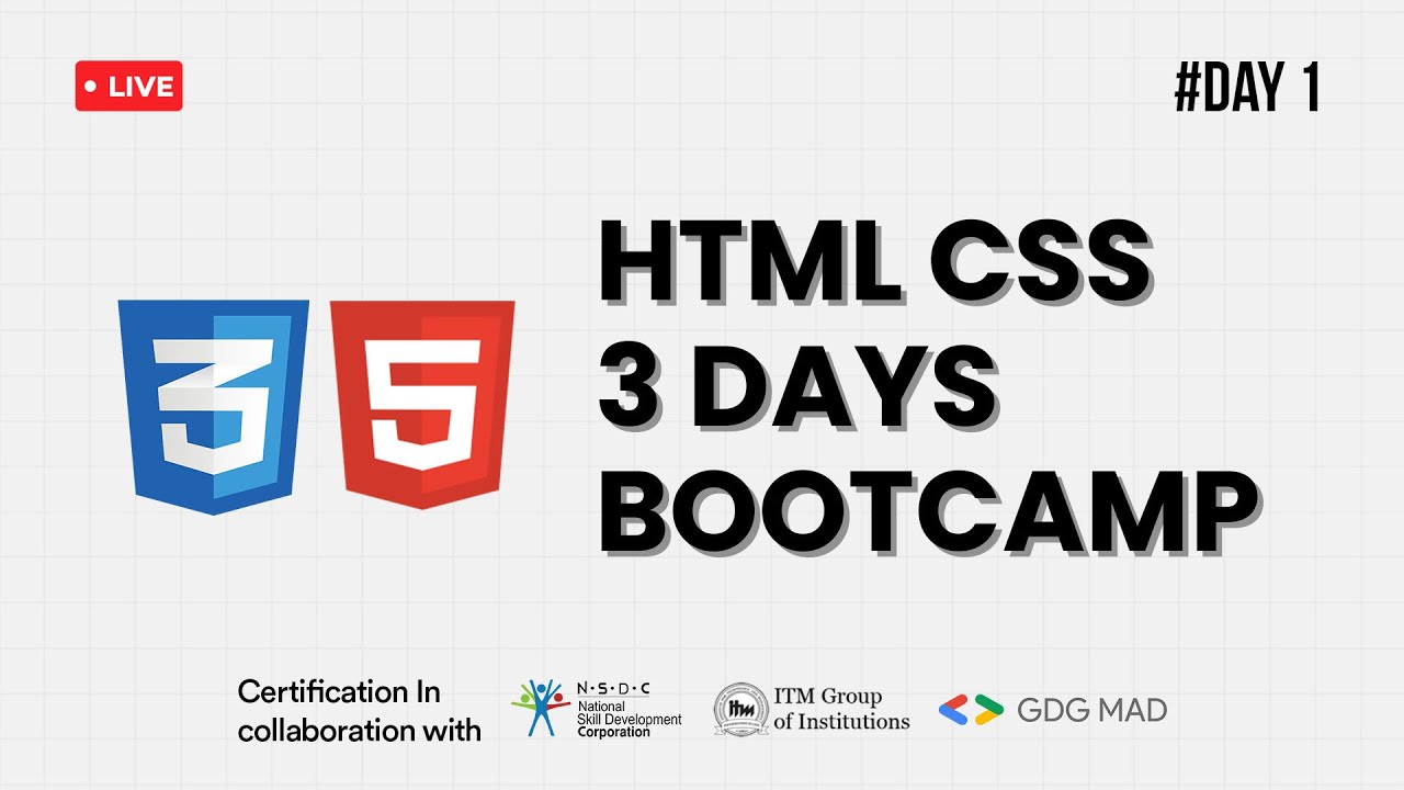 День 1 | Введение в HTML и CSS, основные понятия