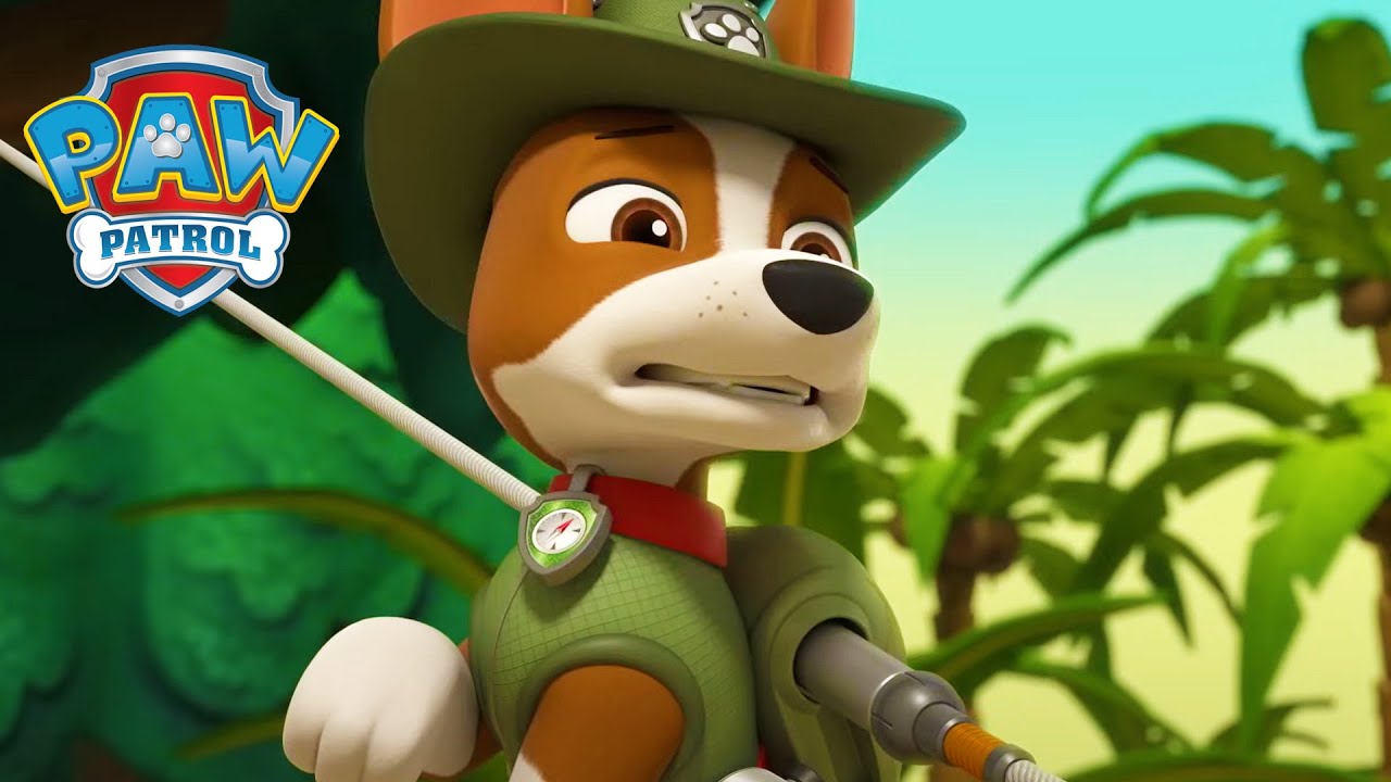 Exploratorul junglei! 🐒🌴 - PAW Patrol - Desene animate pentru copii
