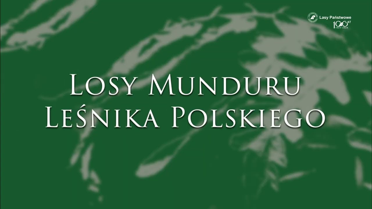 Losy munduru leśnika polskiego – 10 filmów na temat leśnego dziedzictwa