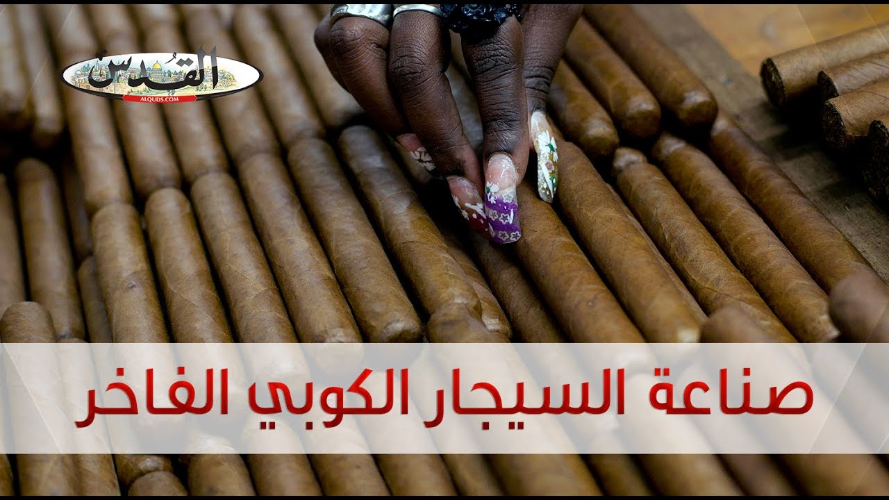 تعرف على كيفية صناعة السيجار الكوبي الفاخر