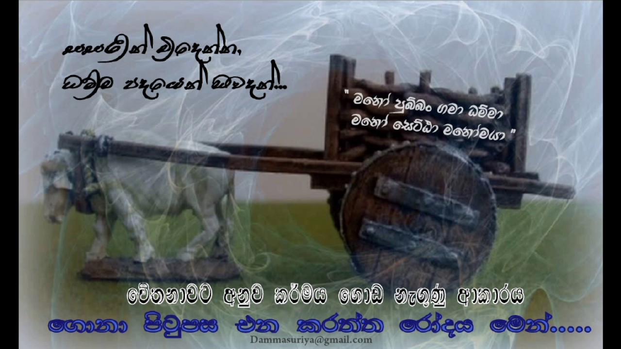 චේතනාවට අනුව කර්මය ගොඩ නැගුණු ආකාරය_ගොනා පිටුපස එන කරත්ත රෝදය මෙන්_Niwan Dakimu