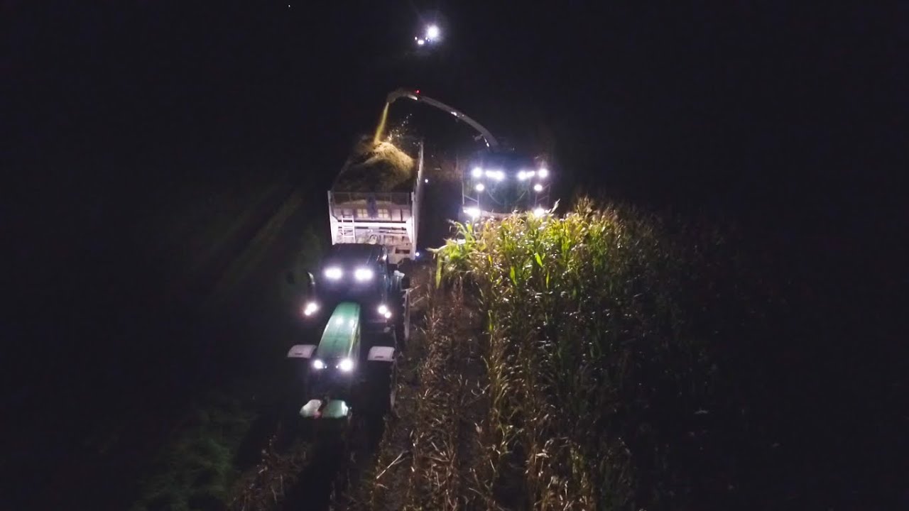Nocne Koszenie Kukurydzy Na Mazowszu- Claas Jaguar 940, John Deere, Fendt, New Holland