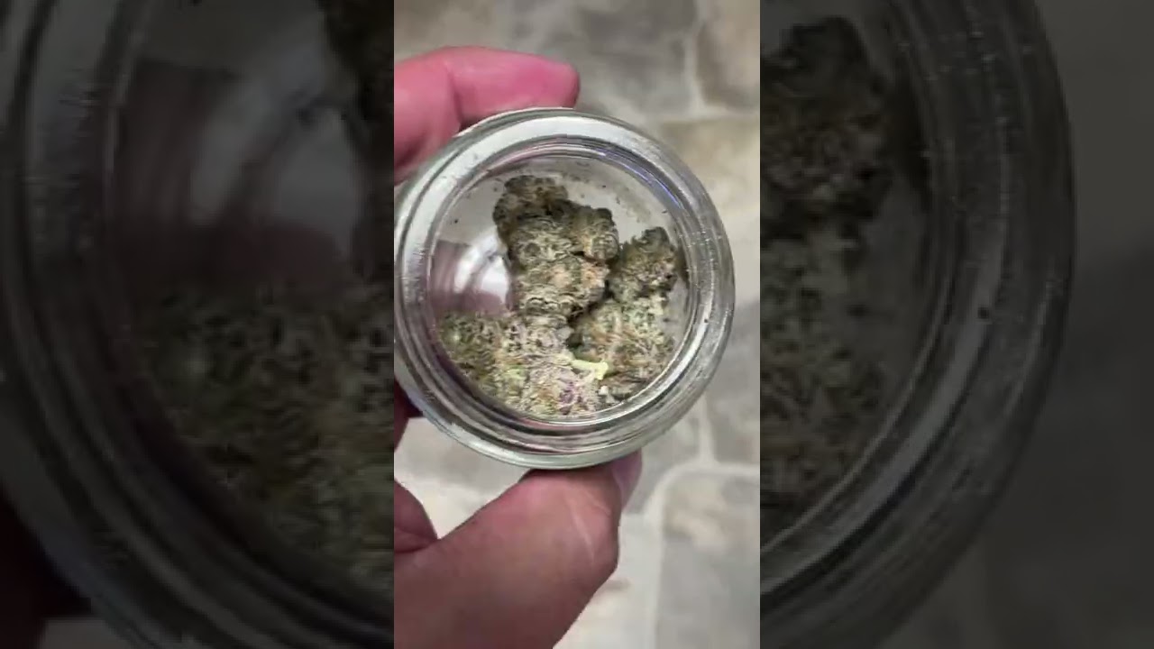 Grape Sugar Cookies- Bedford Grow