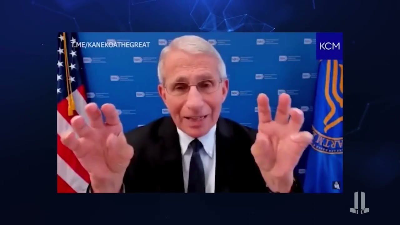 Vaccine Efficacy Compilation