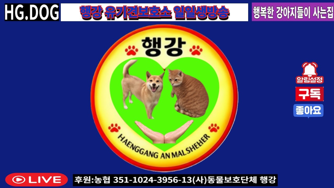 2026.02.27.행강유기견보호소 아침라이브. #밥묵자 #입양홍보방송 #행강유기견보호소.#일일생방송#유기견 #유기견입양 #강아지 #반려견