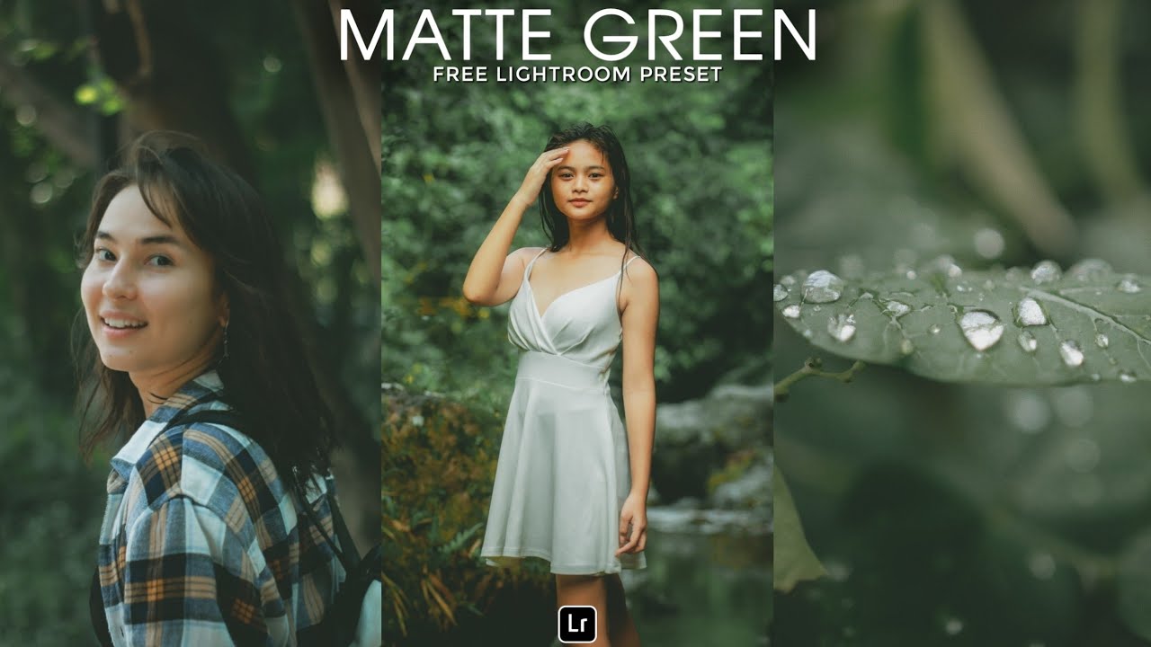 Matte Green Preset | Lightroom Mobile Preset Free DNG | lightroom tutorial | lightroom preset