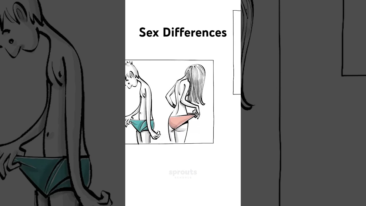 Sex differences [Short Version] #gender #biology #sexdifferences