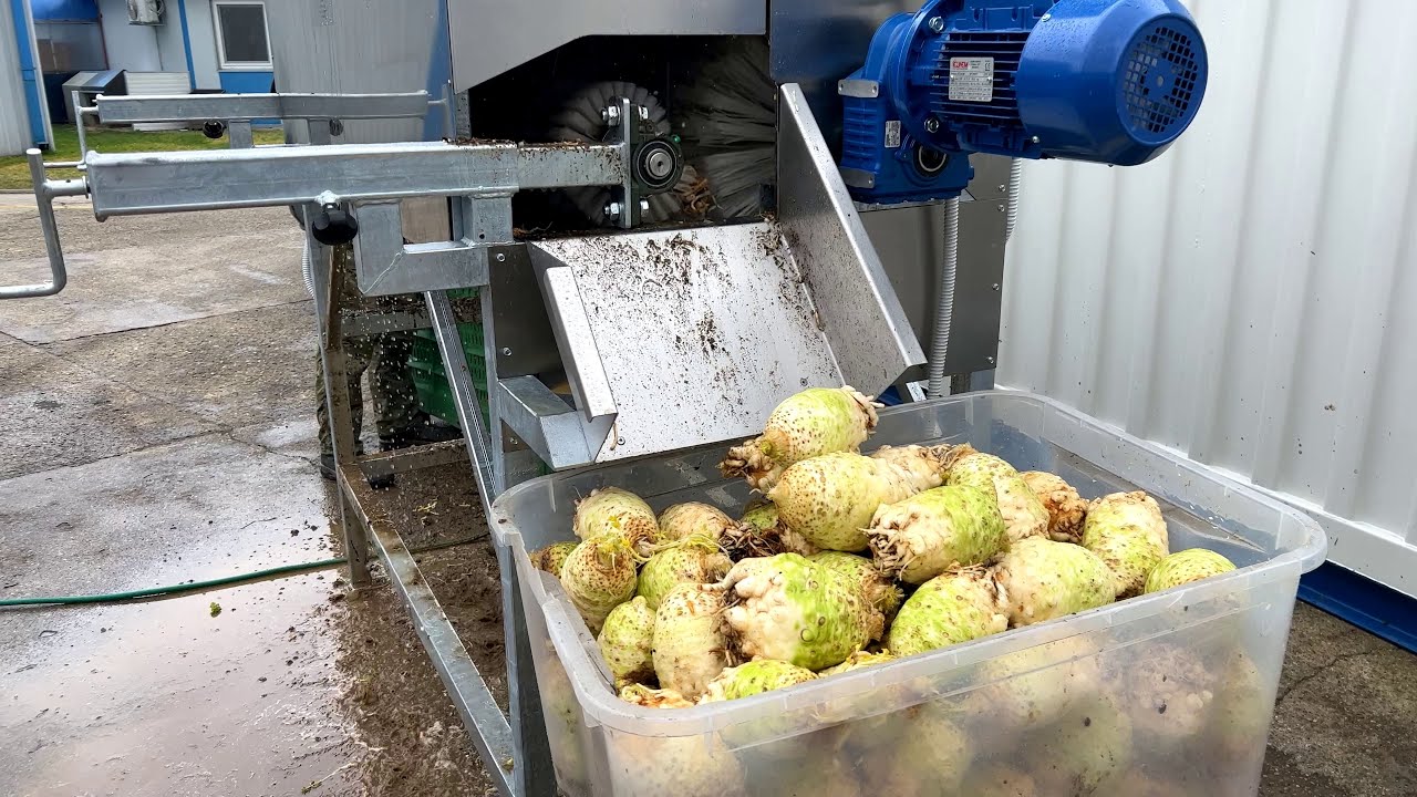 Celery washer HPBK-C150