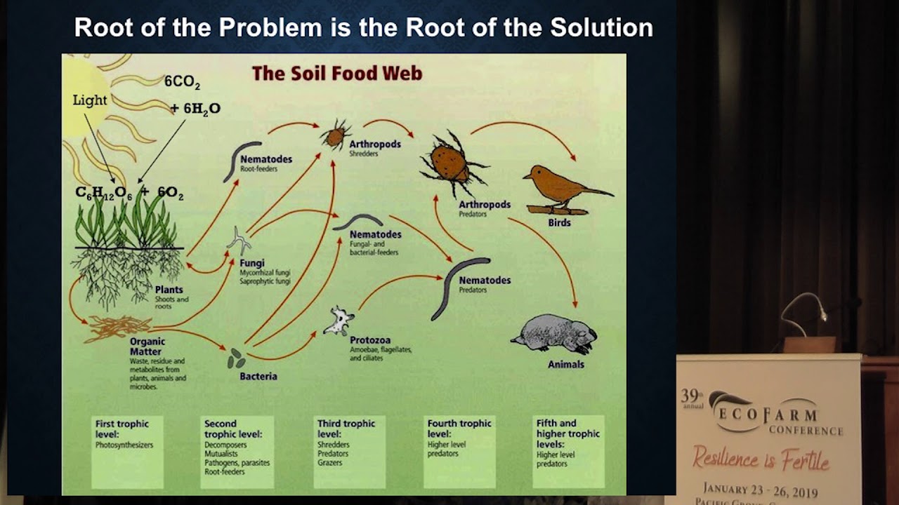 Kris Nichols - What 40 Years of Science tells us about Organic Agriculture - EcoFarm 2019 Keynote