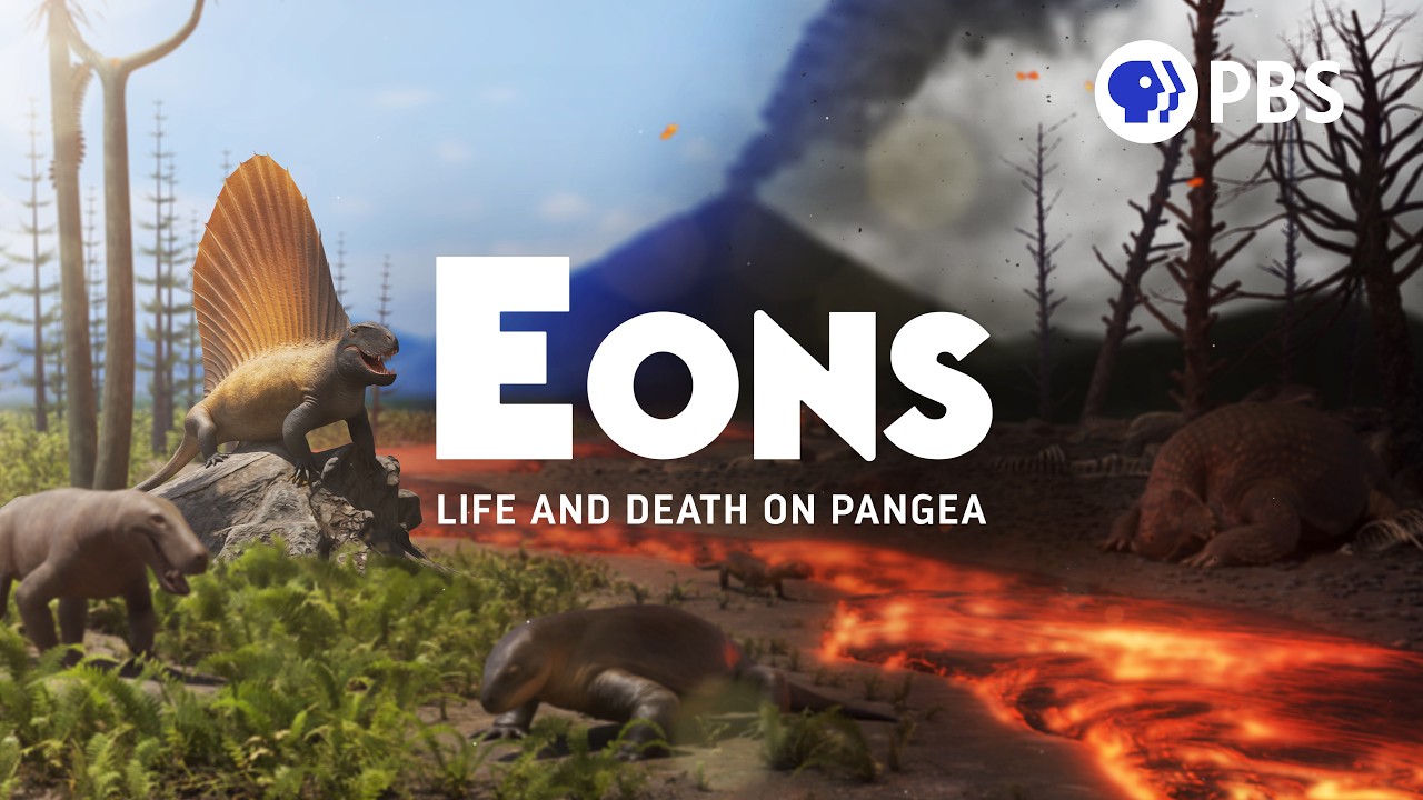 We Made a TV Show!
