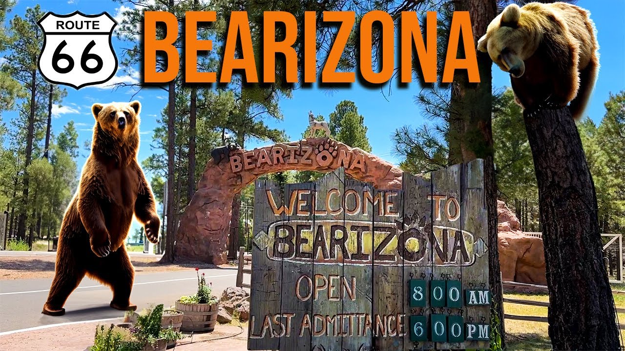 BEARIZONA — парк дикой природы в Аризоне, доступный только водителям