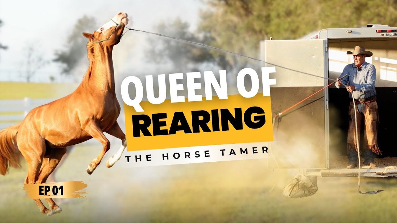 Pat Parelli Solves a Trailer Loading Problem in Minutes | Ep. 1 The Horse Tamer (Dallas & Luna)