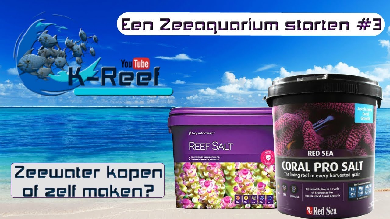 Zeewateraquarium opstarten #3 / zeewater kopen of zelf maken?