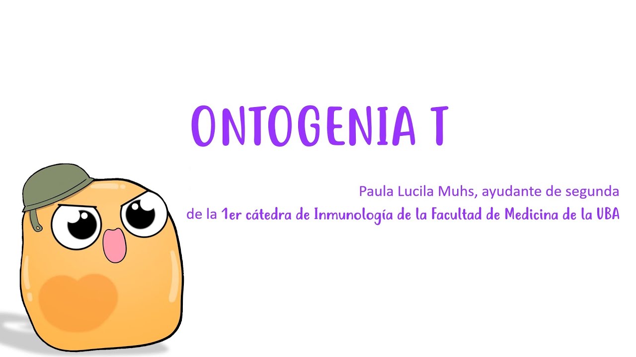 ONTOGENIA T