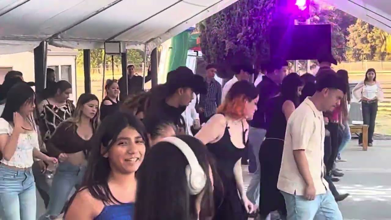 Bailando caballo dorado