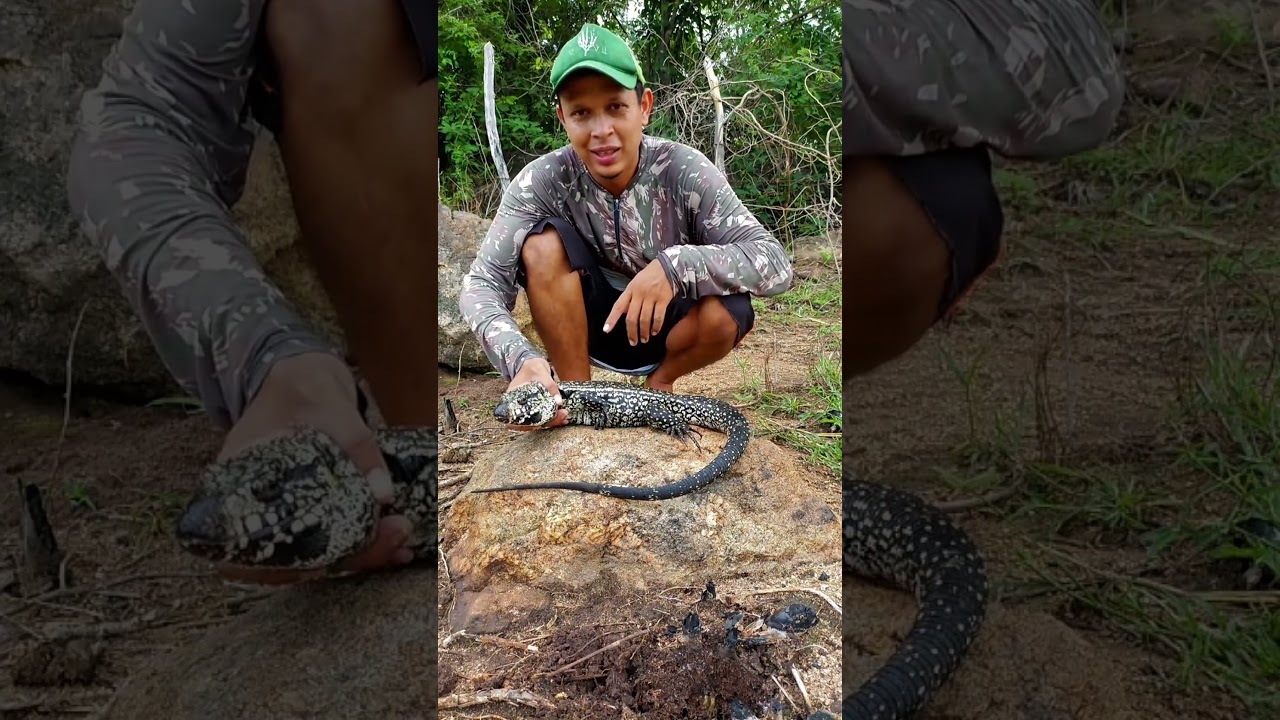 Bichos incr&iacute;veis que tem no sert&atilde;o. #caatinga #sert&atilde;o #animais
