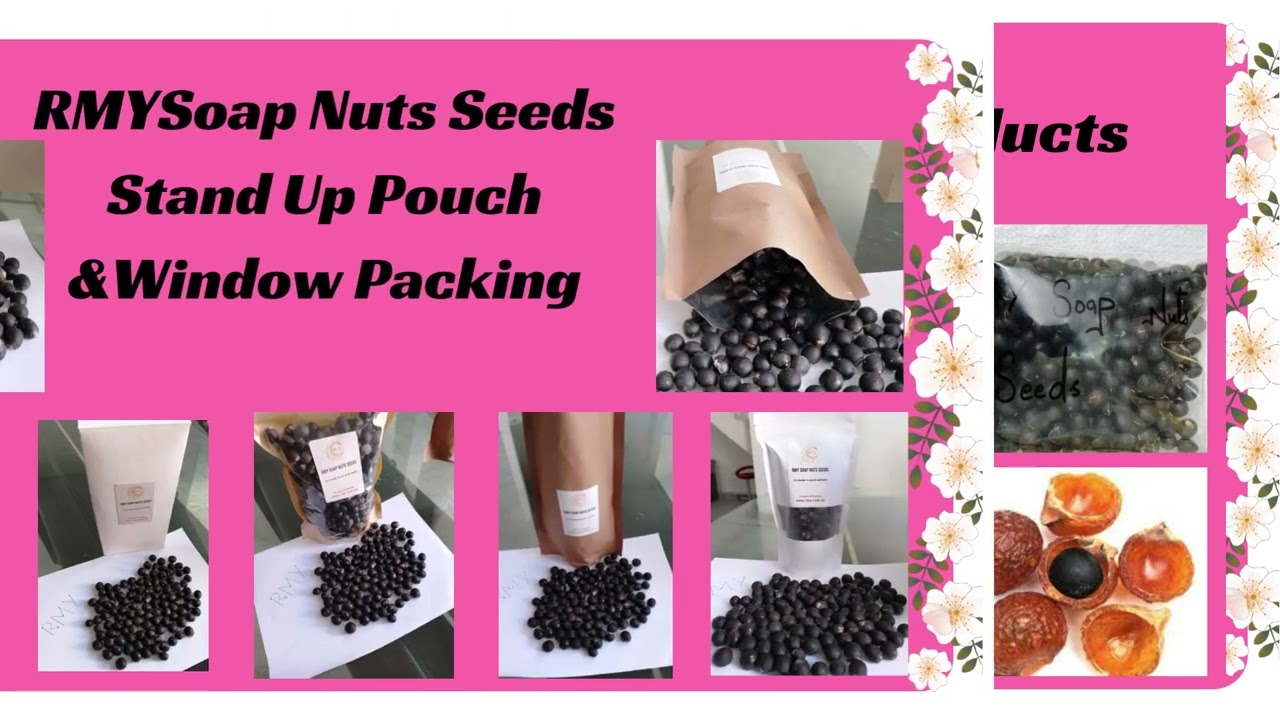 100%Natural Soap Nuts Seeds/RMY Top Quality Soap Nuts Seeds.