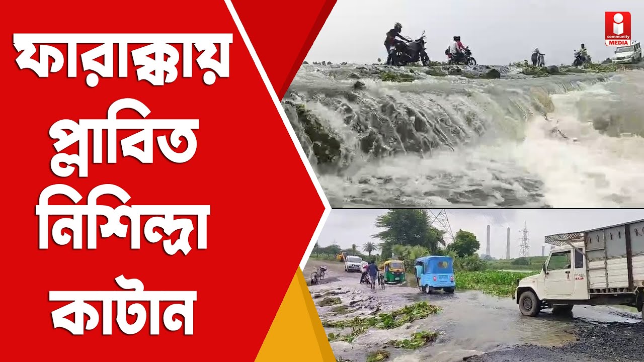 Murshidabad Flood: ফারাক্কায় পাহাড়ি জলে প্লাবিত নিশিন্দ্রা কাটান